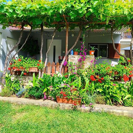 פולה Apartments Pavao 1402 מראה חיצוני תמונה